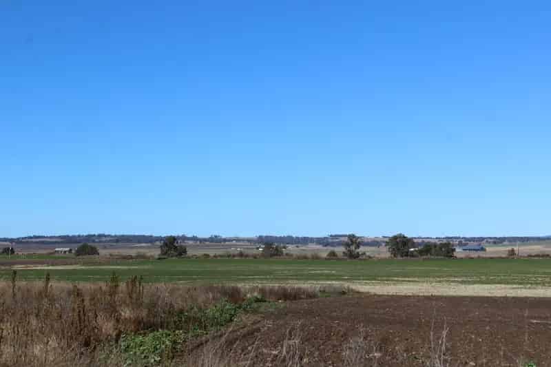 ON THE BANK OF FARM CREEK