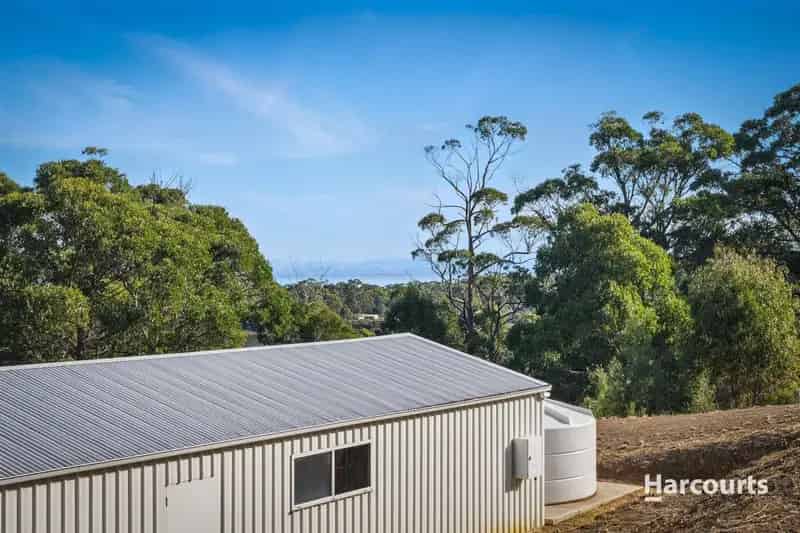 Prime Coastal Acreage with Studio & Approved House Plans