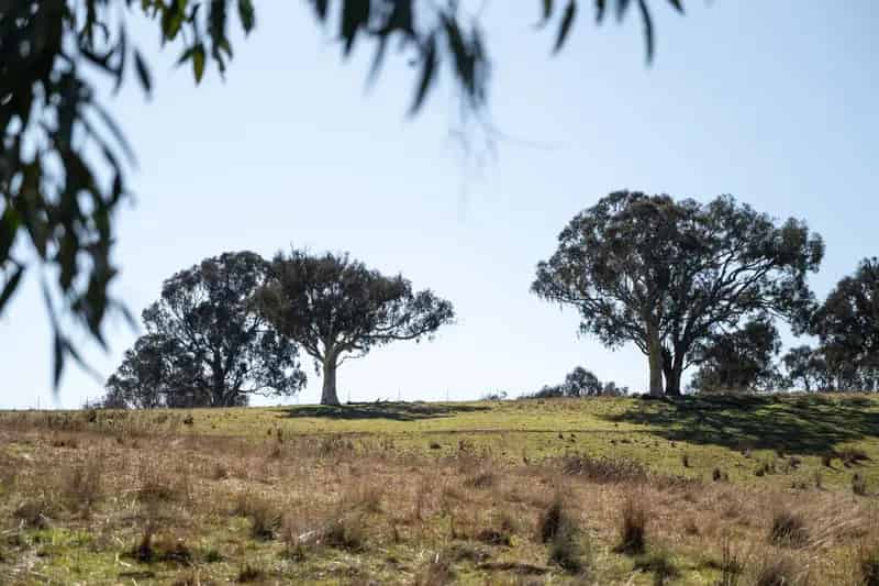 Rural property For Rent , Sutton, New South Wales