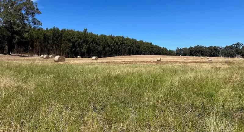 Rural property For Sale , Shire Of Manjimup, Western Australia