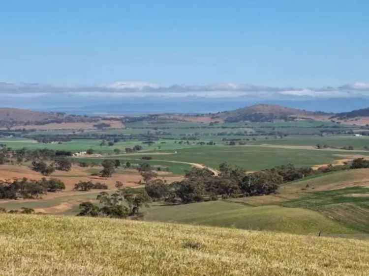 1242-Acre Farming Property with Homestead and Shearing Shed