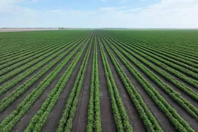 Rural property For Sale , Western Downs Regional, Queensland
