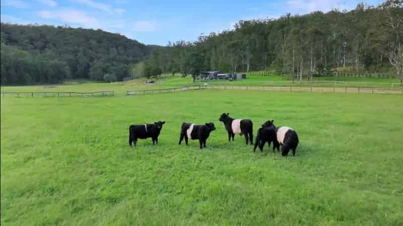Rural property For Sale , Wollombi, New South Wales