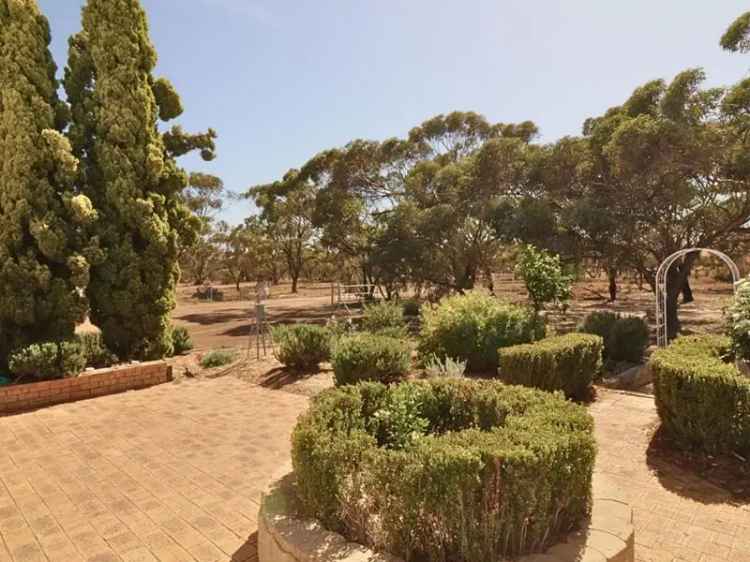 5-Acre Family Home with Granny Flat and Workshop Near Wongan Hills