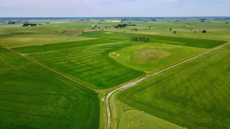 Rural property For Sale , Coonawarra, South Australia