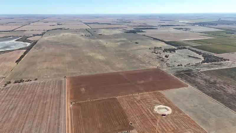 An Exceptional Agricultural Investment in Swan Hill's Scenic Countryside