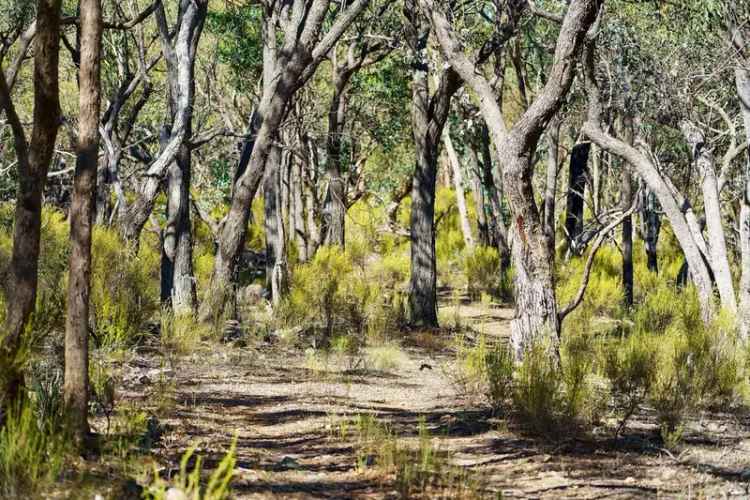 443 Acre Bush Block Heathcote - Secluded Retreat Investment Opportunity