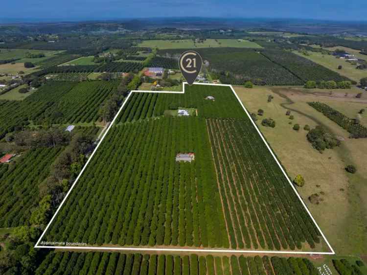 Rural For Sale in Rous with Luxurious Home and Macadamia Farm Features