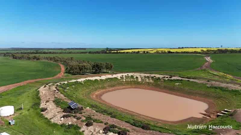 Rural property For Sale , Shire Of Narembeen, Western Australia