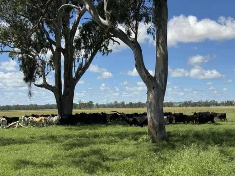 Rural For Sale in Monto, Queensland