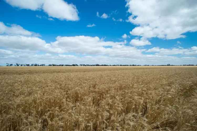 Rural property For Sale in Minyip, Victoria