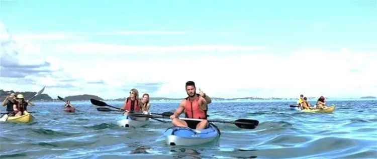 KAYAK & STAND UP PADDLE BUSINESS FOR SALE IN POSTCARD PERFECT SHOAL BAY