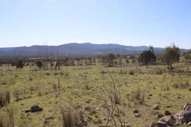 Rural For Sale in Tenterfield, New South Wales