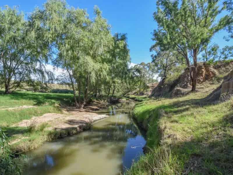 Rural property For Sale , Young, New South Wales
