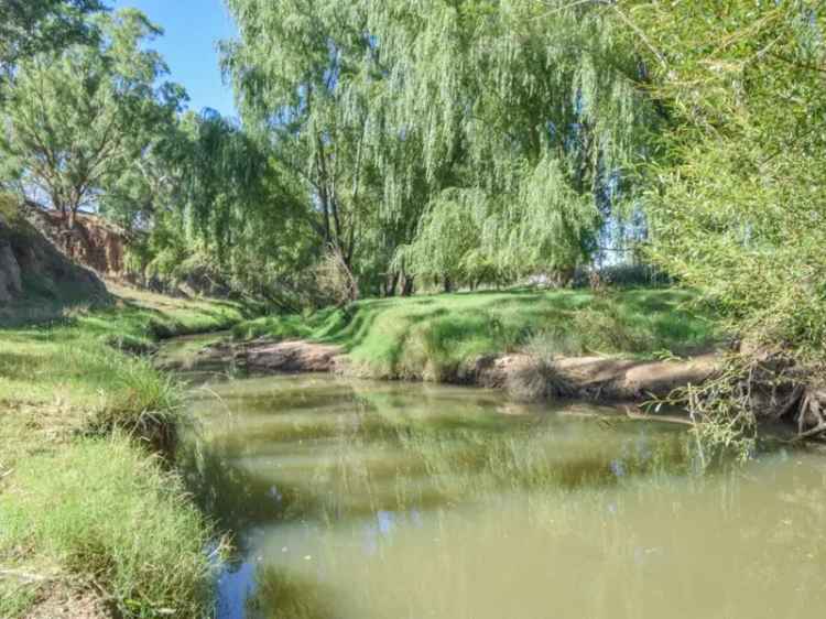 Rural property For Sale in Young, New South Wales