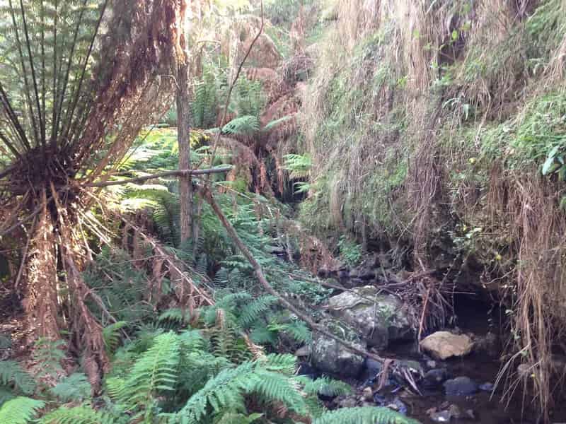 buy land retreat in Cathcart with camping and bushwalking features