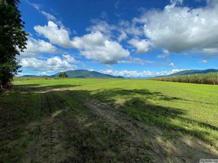 Rural For Sale in Cassowary Coast Regional, Queensland