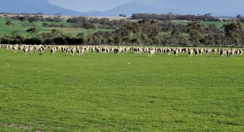 Rural property For Sale , Shire Of Gnowangerup, Western Australia