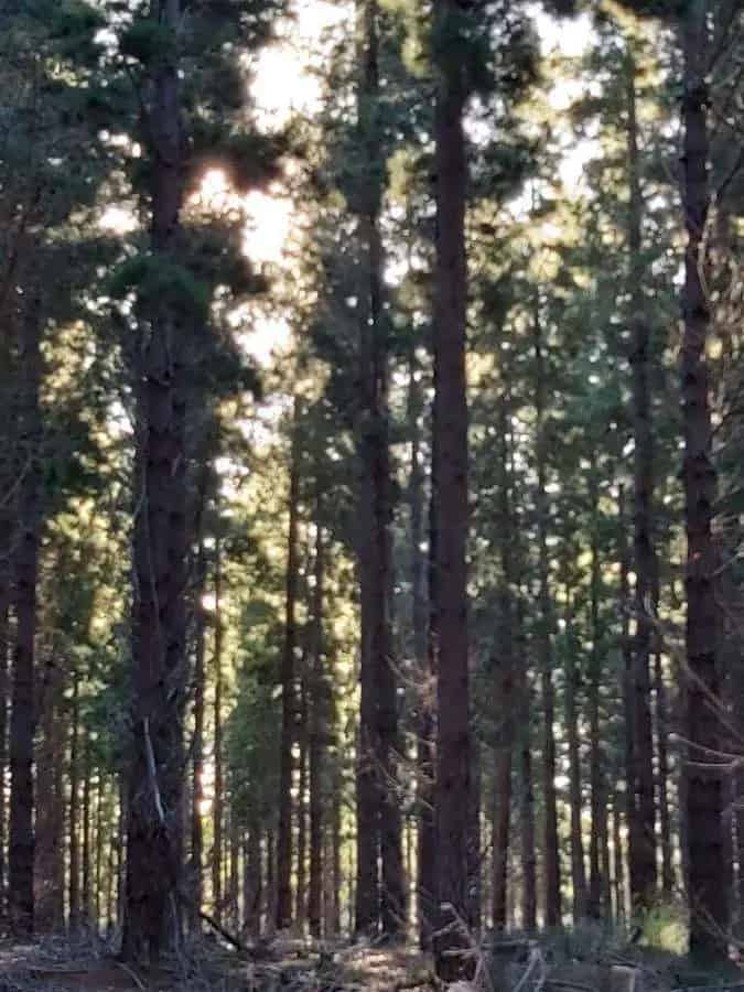 Rural property For Sale , Triabunna, Tasmania