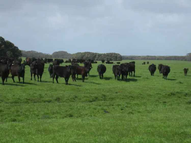 Rural For Sale in King Island Council, Tasmania