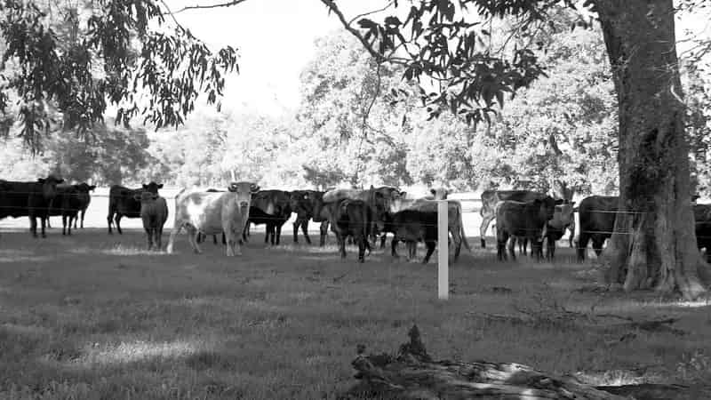 Rural property For Sale , Whitsunday Regional, Queensland