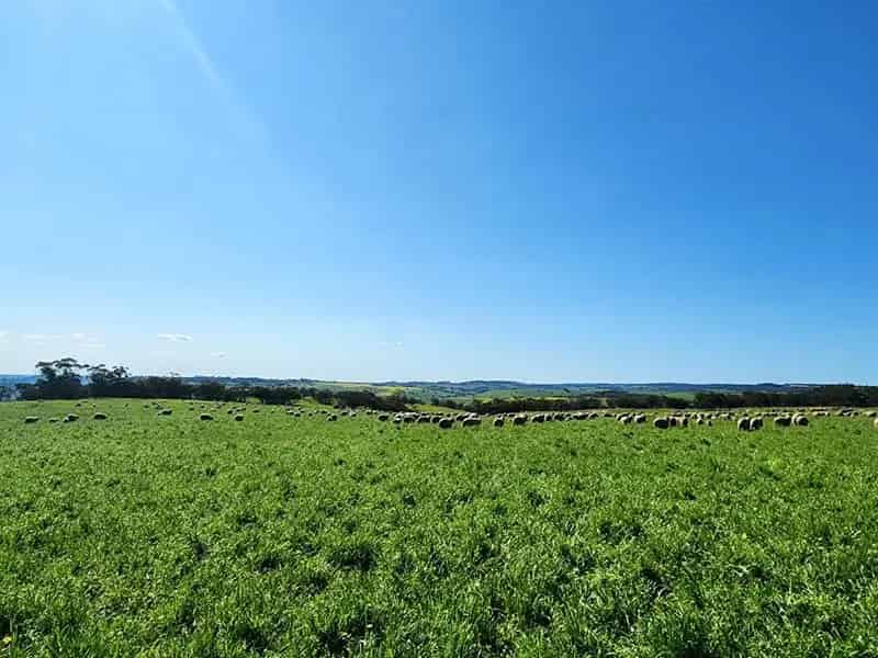 Land For Sale , Shire Of Toodyay, Western Australia
