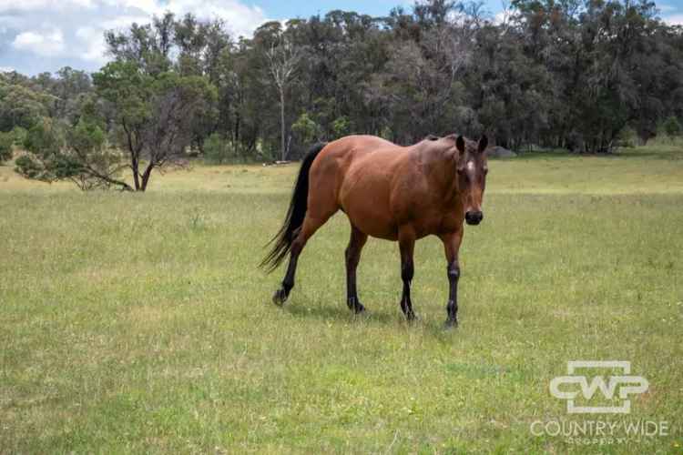 Rural For Sale in Snowy Monaro Regional Council, New South Wales