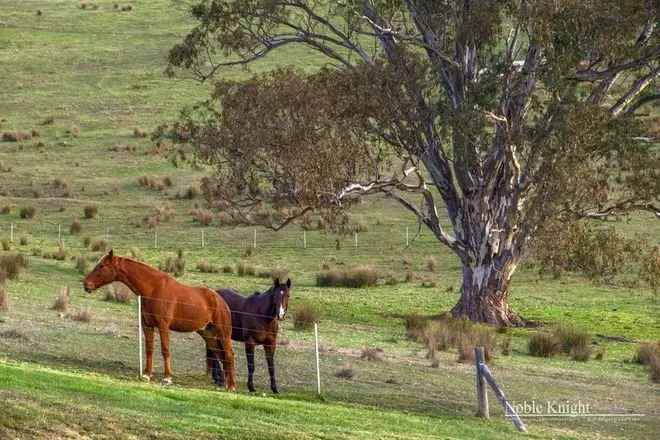 Rural For Sale in Yea, Victoria