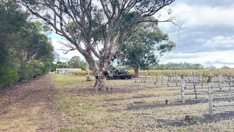 Rural property For Sale , Penola, South Australia