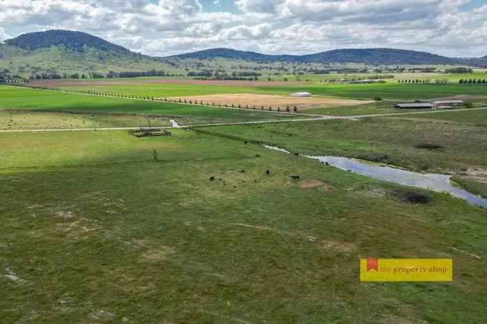 Land For Sale in Mid-Western Regional Council, New South Wales