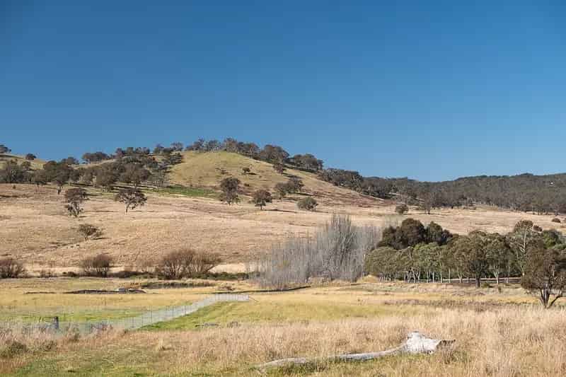 Land For Sale , Sutton, New South Wales