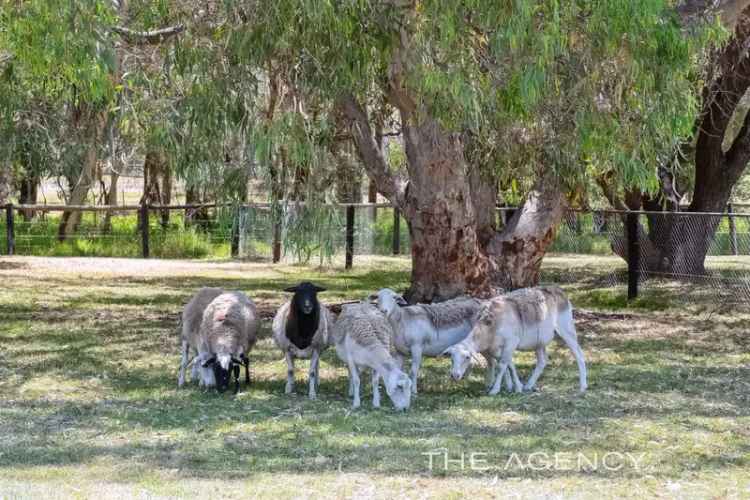 House For Sale in City of Swan, Western Australia