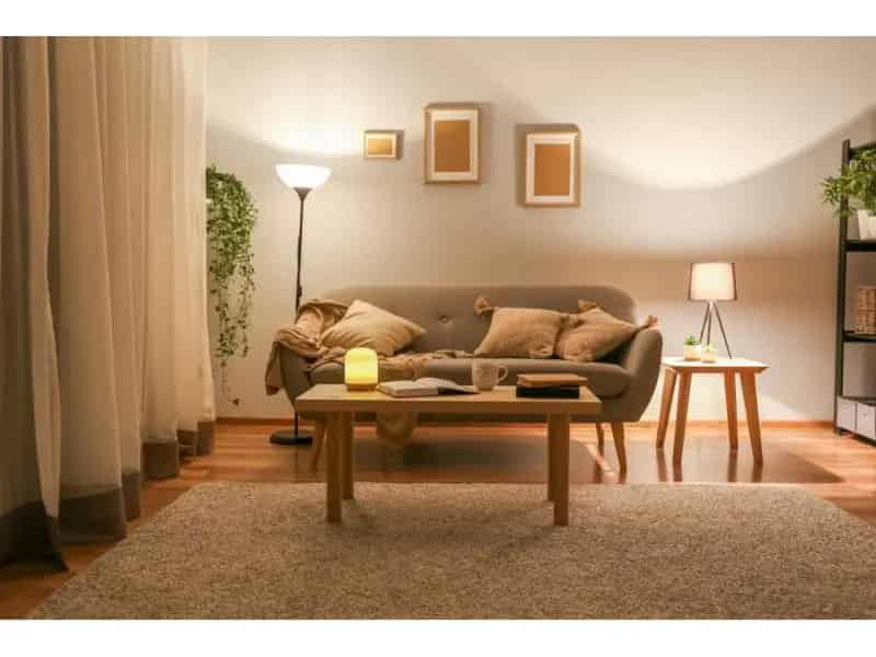 21075 Lighting Retail Store  Growing Regional Area