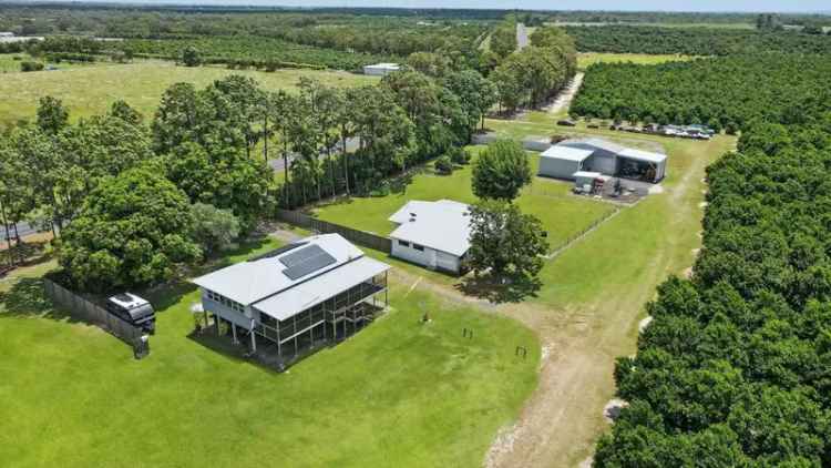 Invest in Macadamia Orchard Near Bundaberg with Premium Features