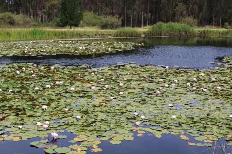 Rural property For Sale , Shire Of Manjimup, Western Australia