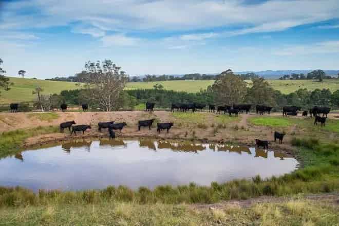 Rural property For Sale , 1107, Old Hume Highway, Wingecarribee Shire Council, New South Wales