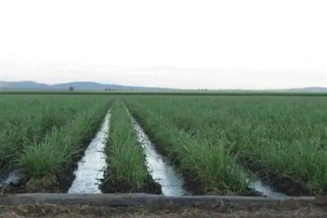 Rural property For Sale , Burdekin Shire, Queensland