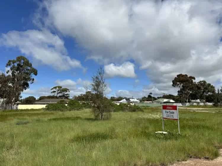 Affordable Land! Not to be missed - Sold By Suzie Perrin
