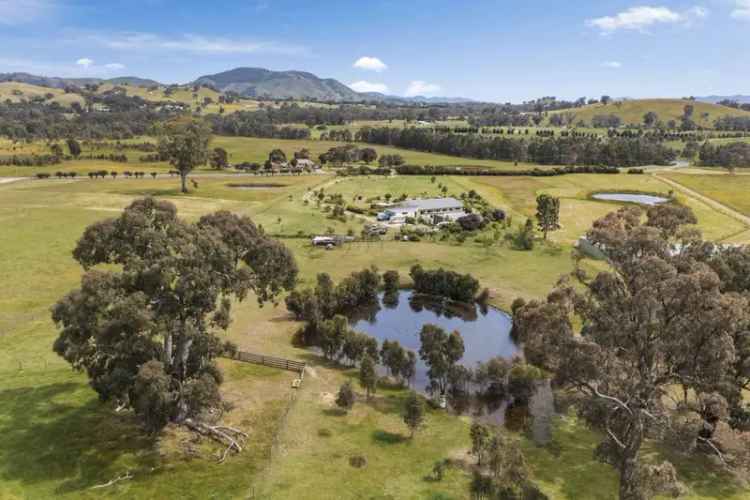 Buy rural property with stunning features near town