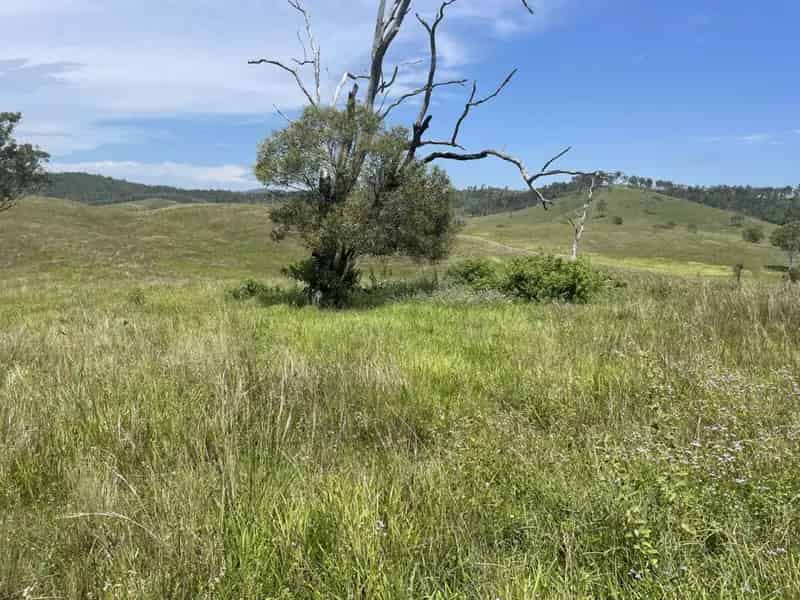 Buy Rural Property in Woolooga with Undulating Forest and Water Supply