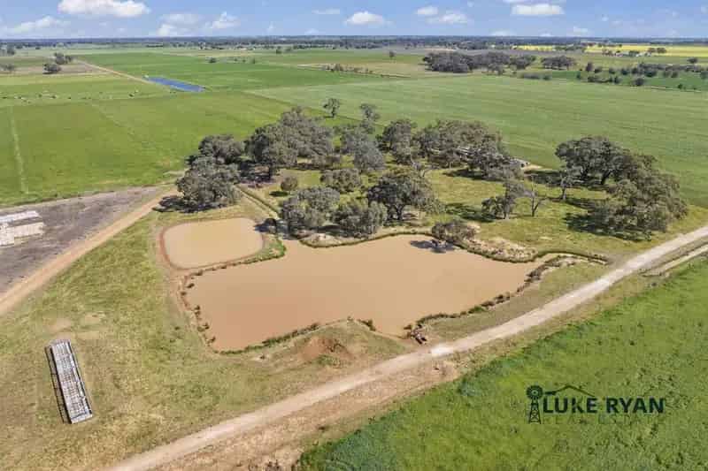 For Sale Exceptional Dairy Farm 263 Acres Near Echuca with Quality Features