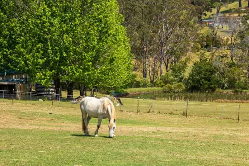 Land For Rent , Malua Bay, New South Wales