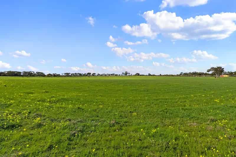 Buy land in Licence land with 10.49 hectares featuring rustic sheds
