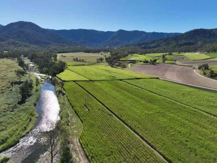 Buy rural property in Finch Hatton with cultivation and irrigation features