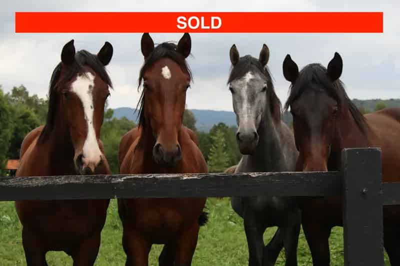 Buy Animal Produce Store in Noosaville with Great Community Support