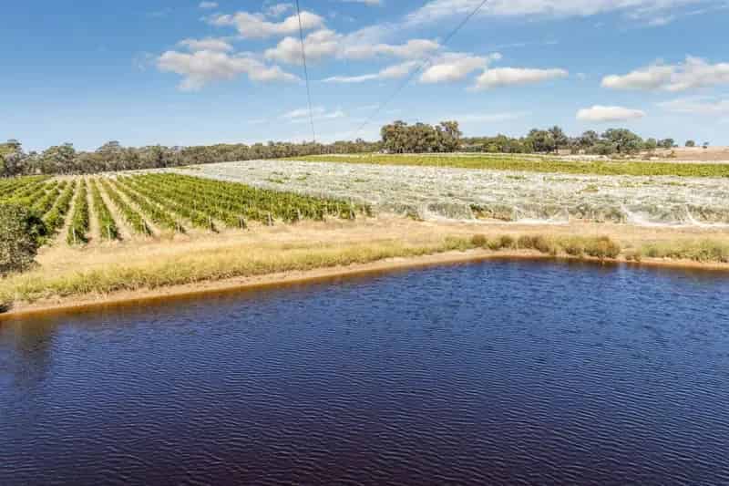 Buy rural property vineyard in Heathcote with irrigation and workshed