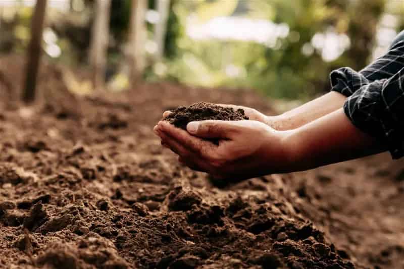Business for Sale Specialist Soil Testing Laboratory South Australia