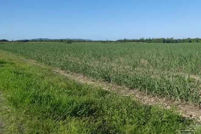 Rural property For Sale , Cassowary Coast Regional, Queensland