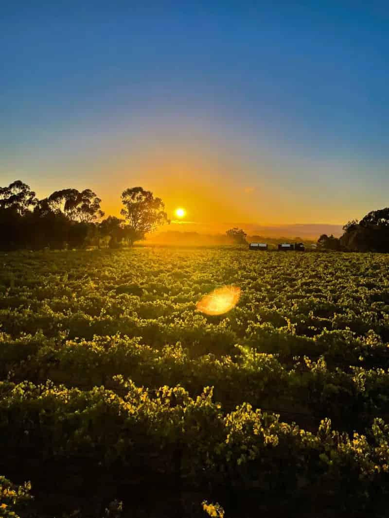 Buy rural property in Nuriootpa with heritage charm and expansive features