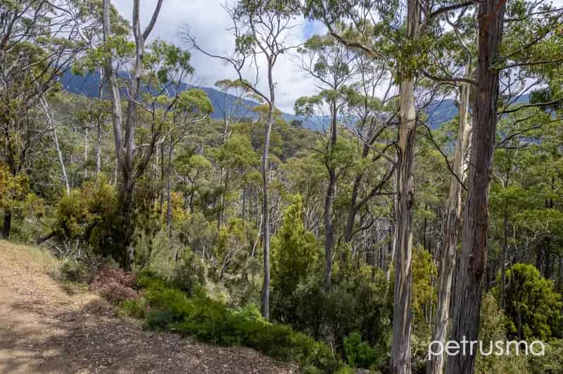 Expansive Bushland Opportunity